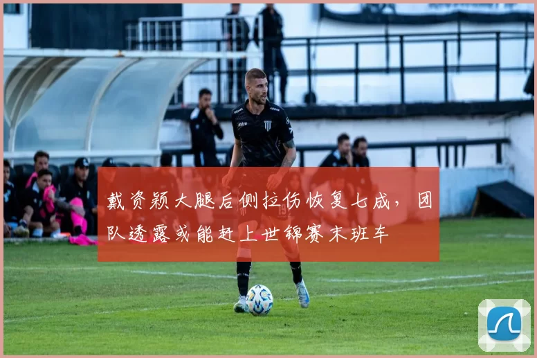 戴资颖大腿后侧拉伤恢复七成，团队透露或能赶上世锦赛末班车